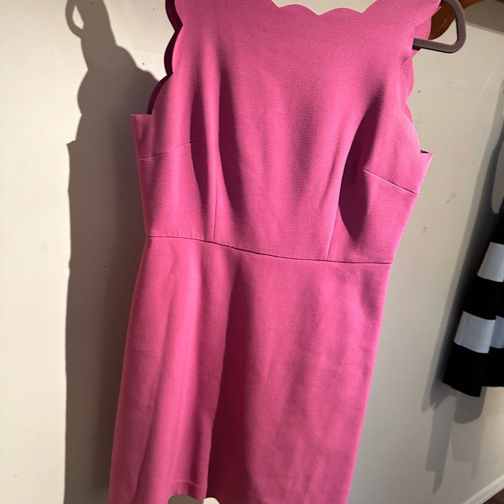 LOFT fuchsia shift dress structured bodice/scalloped neckline, women’s size 8